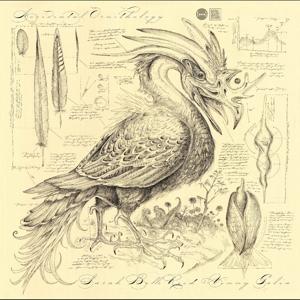 Sarah Belle Reid & Vinny Golia · Accidental Ornithology (CD) (2025)