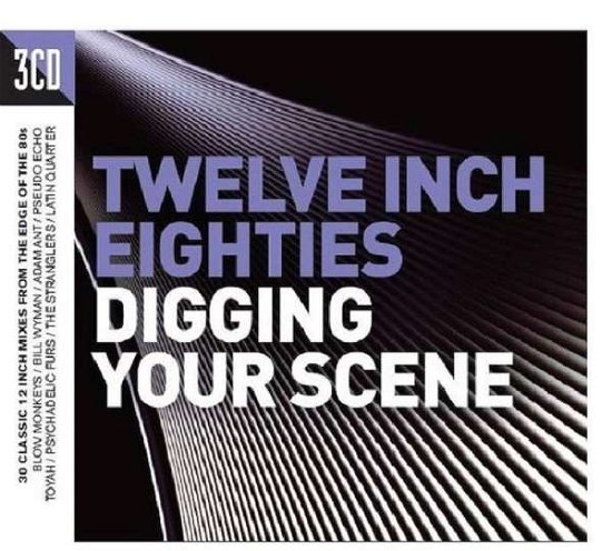 Twelve Inch 80s: Digging Your - Various Artists - Música - CRIMSON - 0654378621826 - 16 de septiembre de 2016