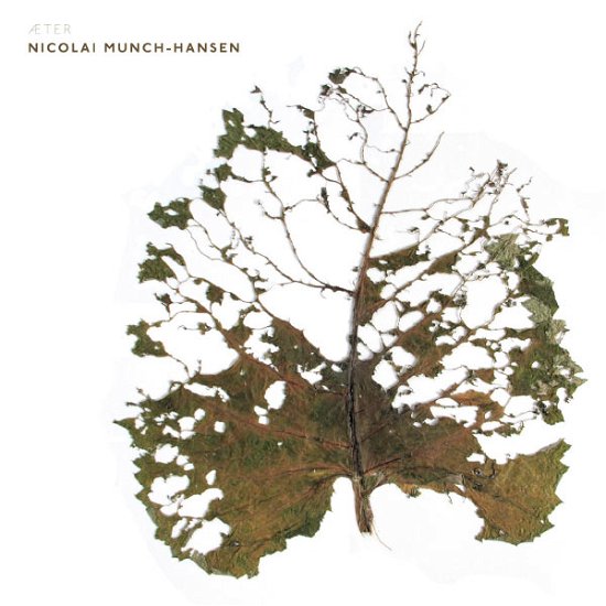 Æter - Nicolai Munch-hansen - Music - CADIZ - STUNT - 0663993121826 - March 15, 2019