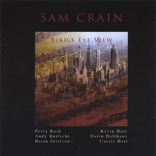 Birds-eye View - Sam Crain - Musik - CD Baby - 0692863077826 - 8. Februar 2005