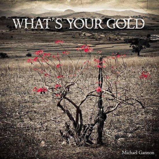 Cover for Michael Gannon · What's Your Gold (CD) (2011)