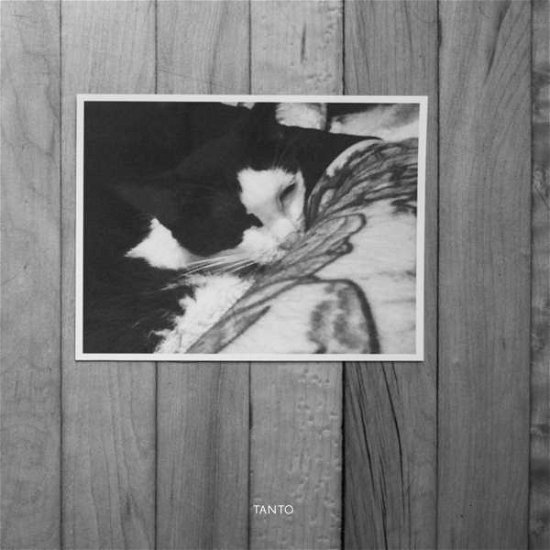 Cover for Bvdub · Tanto (CD) (2015)