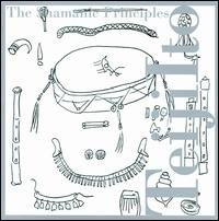 Cover for Teiji Ito · Shamanic Principles (CD) (2008)