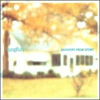 Rainbows From Atoms - Lungfish - Muziek - DISCHORD - 0718751797826 - 30 juni 1990
