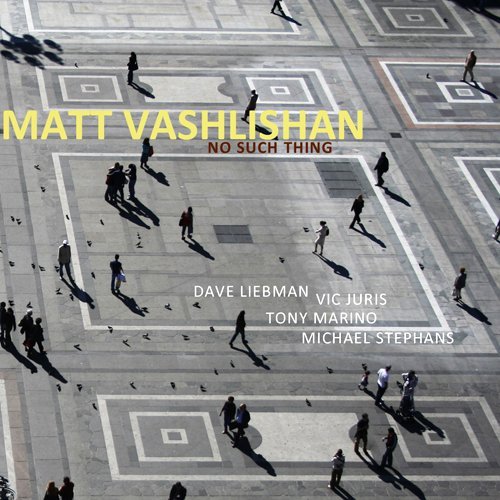 Cover for Matt Vashlishan · No Such Thing (CD) (2009)