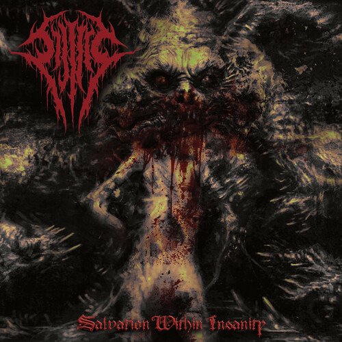 Cover for Sijjeel · Salvation Within Insanity (CD) (2022)