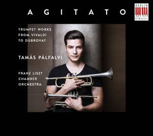 Cover for Tamas Palfalvi · Agitato (CD) (2015)