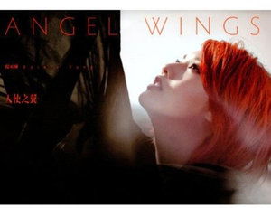 Angel Wings: Fantasy Land - Rainie Yang - Music -  - 0888837732826 - September 3, 2013