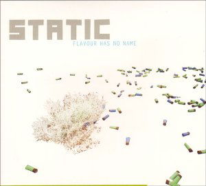 Cover for Static · Flavour Has No Name (CD) (2003)