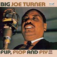 Cover for Big Joe Turner · Flil Flop &amp; Fly (CD) (2008)