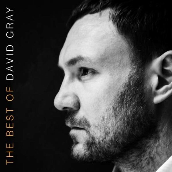 Cover for David Gray · The Best of David Gray (LP) (2016)