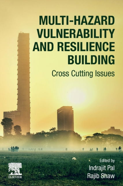 Cover for Multi-Hazard Vulnerability and Resilience Building: Cross Cutting Issues (Paperback Book) (2023)