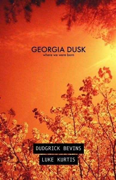 Cover for Dudgrick Bevins · Georgia Dusk (Pocketbok) (2017)