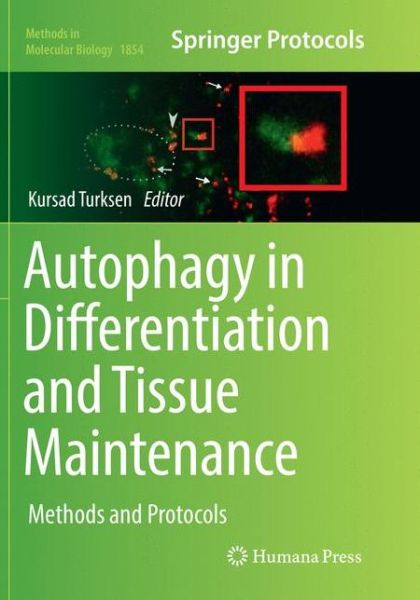 Cover for Autophagy in Differentiation and Tissue Maintenance (Book) [Softcover reprint of the original 1st ed. 2019 edition] (2019)