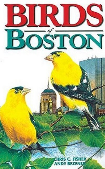 Cover for Fisher, Chris, BSc, MSc · Birds of Boston (Paperback Bog) (1998)