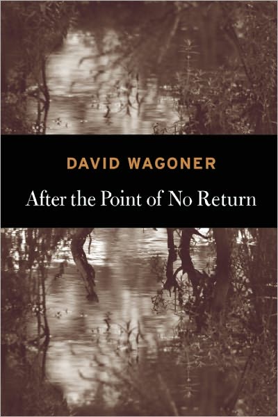 Cover for David Wagoner · After the Point of No Return (Paperback Book) (2012)