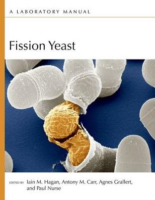 Cover for Fission Yeast: A Laboratory Manual (Paperback Book) (2016)