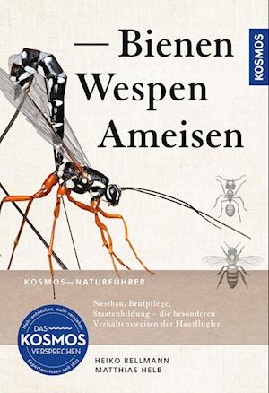 Bienen, Wespen, Ameisen - Heiko Bellmann - Książki - Kosmos - 9783440179826 - 22 kwietnia 2024