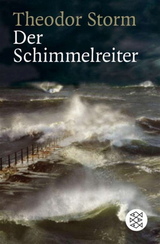 Cover for Theodor Storm · Fischer TB.15982 Storm.Schimmelreiter (Book)