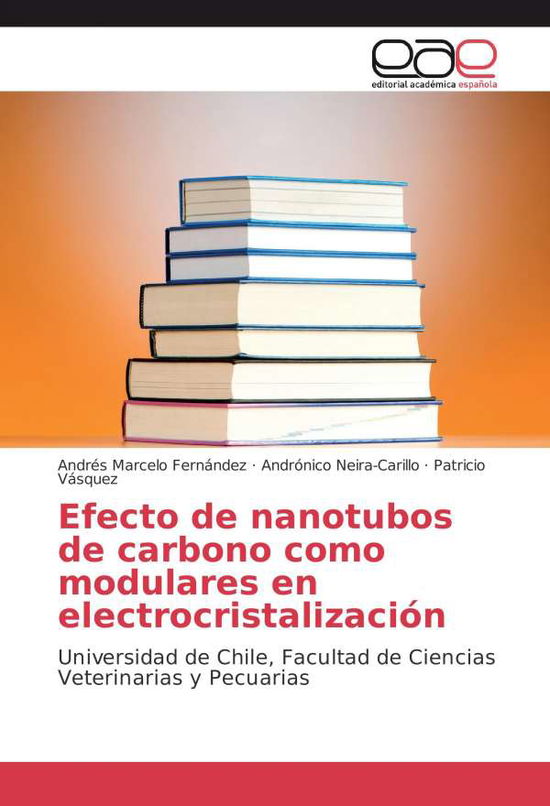 Cover for Fernández · Efecto de nanotubos de carbon (Book)