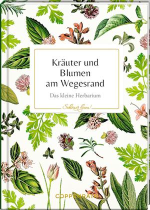 Cover for Kräuter und Blumen am Wegesrand (Book) (2024)