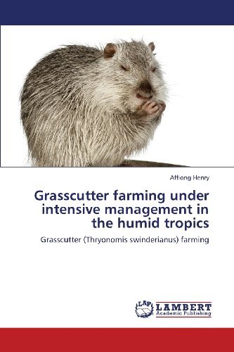 Cover for Affiong Henry · Grasscutter Farming Under Intensive Management in the Humid Tropics: Grasscutter (Thryonomis Swinderianus) Farming (Taschenbuch) (2013)