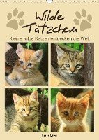 Cover for Löwer · Wilde Tätzchen - Kleine wilde Kat (Book)