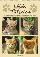 Wilde Tätzchen - Kleine wilde Kat - Löwer - Boeken -  - 9783672149826 - 