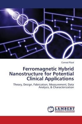 Cover for Rizal · Ferromagnetic Hybrid Nanostructur (Bog) (2018)