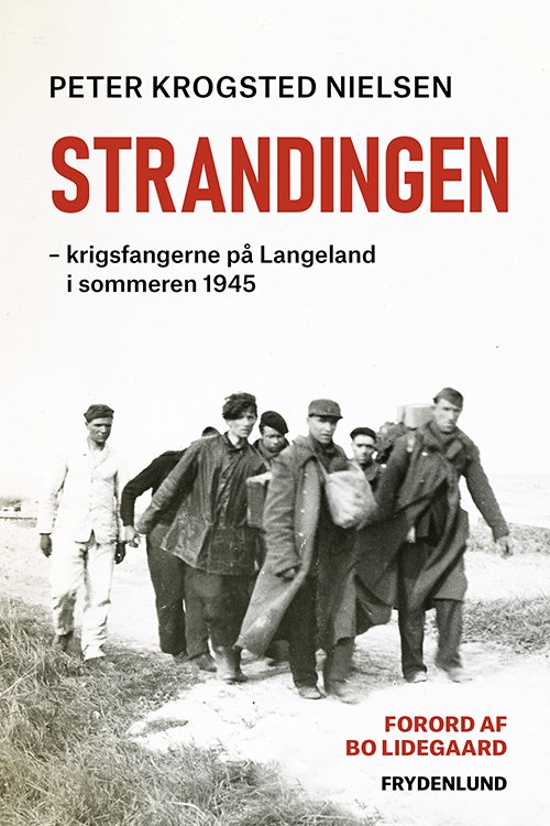 Cover for Peter Krogsted Nielsen · Strandingen (Inbunden Bok) [1:a utgåva] (2022)