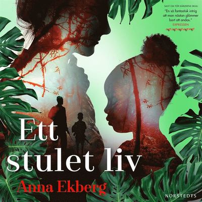 Cover for Anna Ekberg · Ett stulet liv (Hörbok (MP3)) (2019)