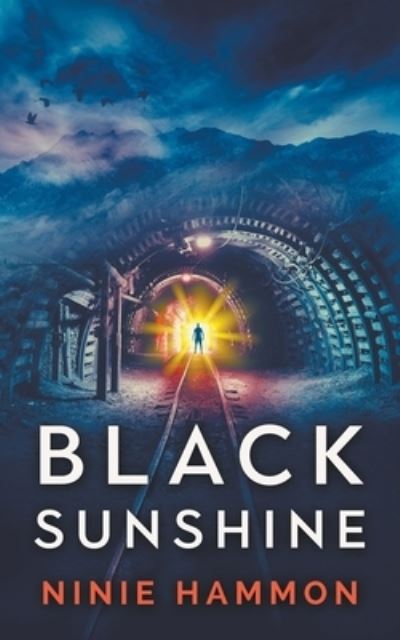 Cover for Ninie Hammon · Black Sunshine (Paperback Book) (2014)