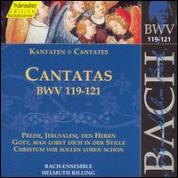 Sacred Cantatas Bwv 119-121 - Bach / Gachinger Kantorei / Rilling - Música - HAE - 0040888203827 - 27 de junho de 2000