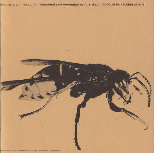 Cover for Sounds of Insects / Various (CD) (2012)