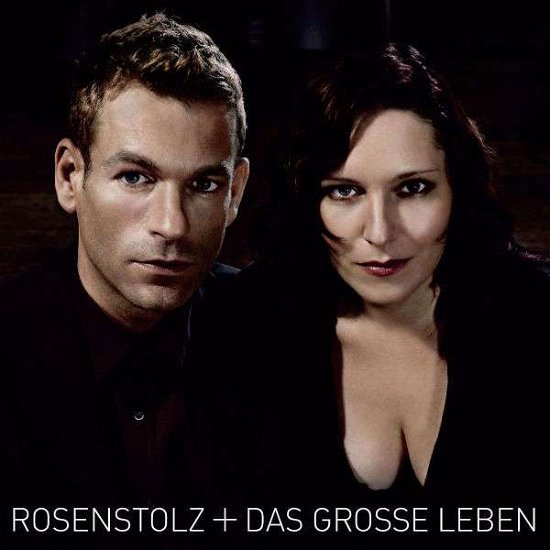 Cover for Rosenstolz · Das Grosse Leben (CD) (2006)