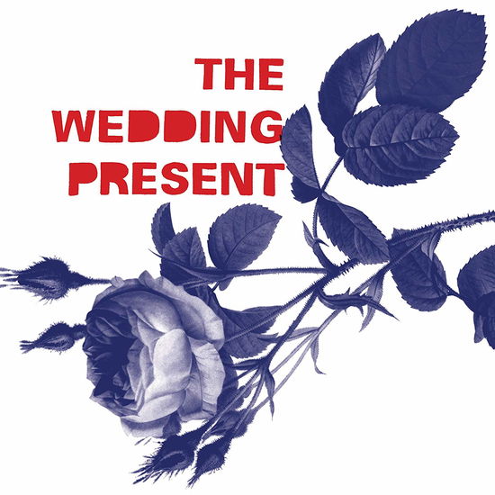 Cover for Wedding Present · Tommy 30 (CD) (2019)