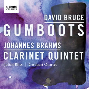 Gumboots / Clarinet Quintet - Julian Bliss - Muziek - SIGNUM CLASSICS - 0635212044827 - 8 juni 2016