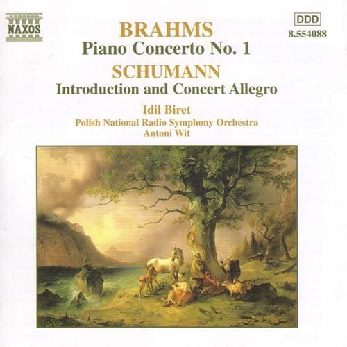 Piano Concerto No.1 Op.15 - Johannes Brahms - Musik - NAXOS - 0636943408827 - 19. februar 2001