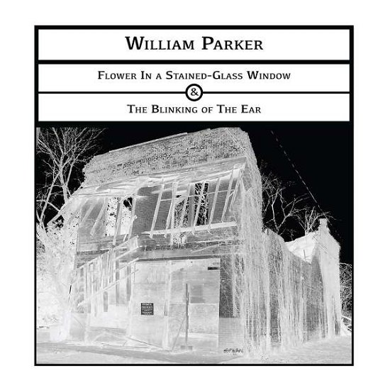 Cover for William Parker · Flower in a Stained-glass Window -&amp;- the Blinking (CD) (2018)