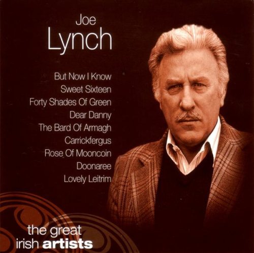 Cover for Joe Lynch (CD) (2017)
