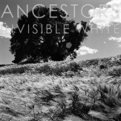 Cover for Ancestors · Invisible White (CD) (2014)