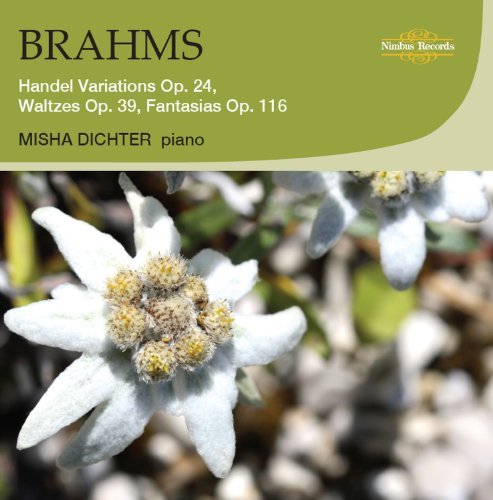 Cover for Brahms / Dichter · Handel Variations Waltzes &amp; Fantasias (CD) (2011)