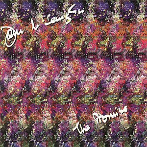 Cover for John Mclaughlin · Promise (CD) (1996)