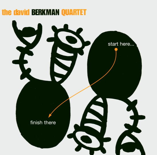 Start Here Finish There - David Berkman - Music - PALMETTO RECORDS - 0753957209827 - April 26, 2004