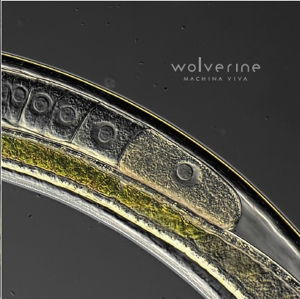 Cover for Wolverine · Machina Viva (CD) (2016)