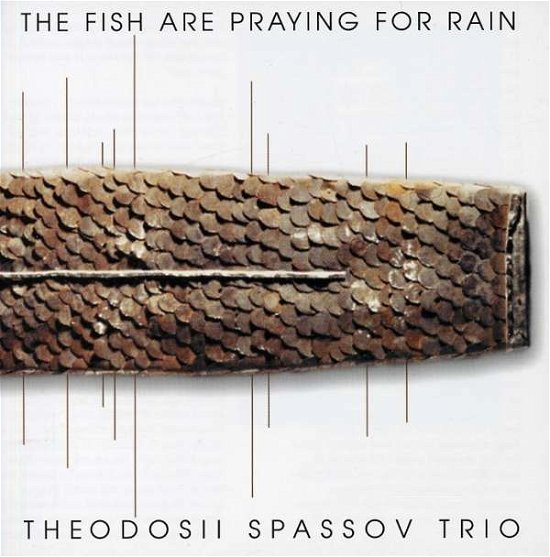 Cover for Theodosii -Trio- Spassov · Fish Are Praying For Rain (CD) (2000)