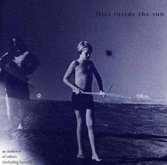 Cover for Flies Inside The Sun · An Audience Of Others (CD) (1995)