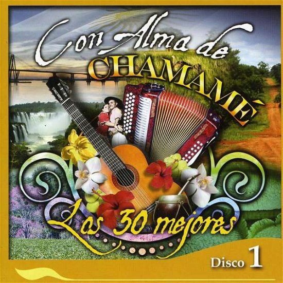 Con Alma De Chamame (Disco 1) - Varios Interpretes - Musik - SON - 0886976238827 - 18. November 2009