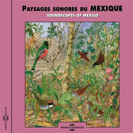 Cover for Fort / Sounds of Nature · Soundscapes of Mexico (CD) (2014)
