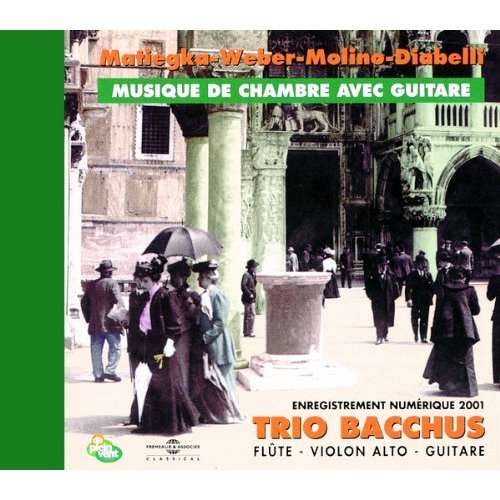 Cover for Weber / Molino Diabelli / Trio Bacchus · Musique De Chambre Avec Guitare (CD) (2001)